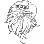 pavel54 Avatar